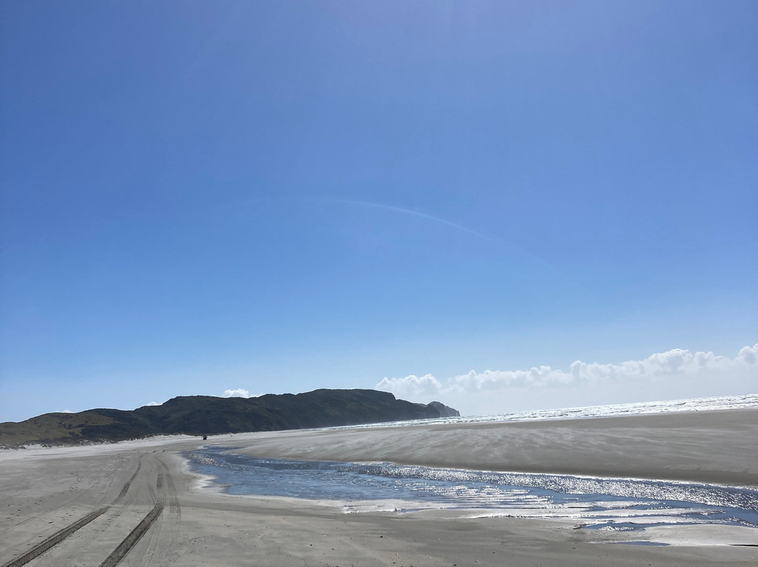 Farewell Spit Eco Tours景点图片
