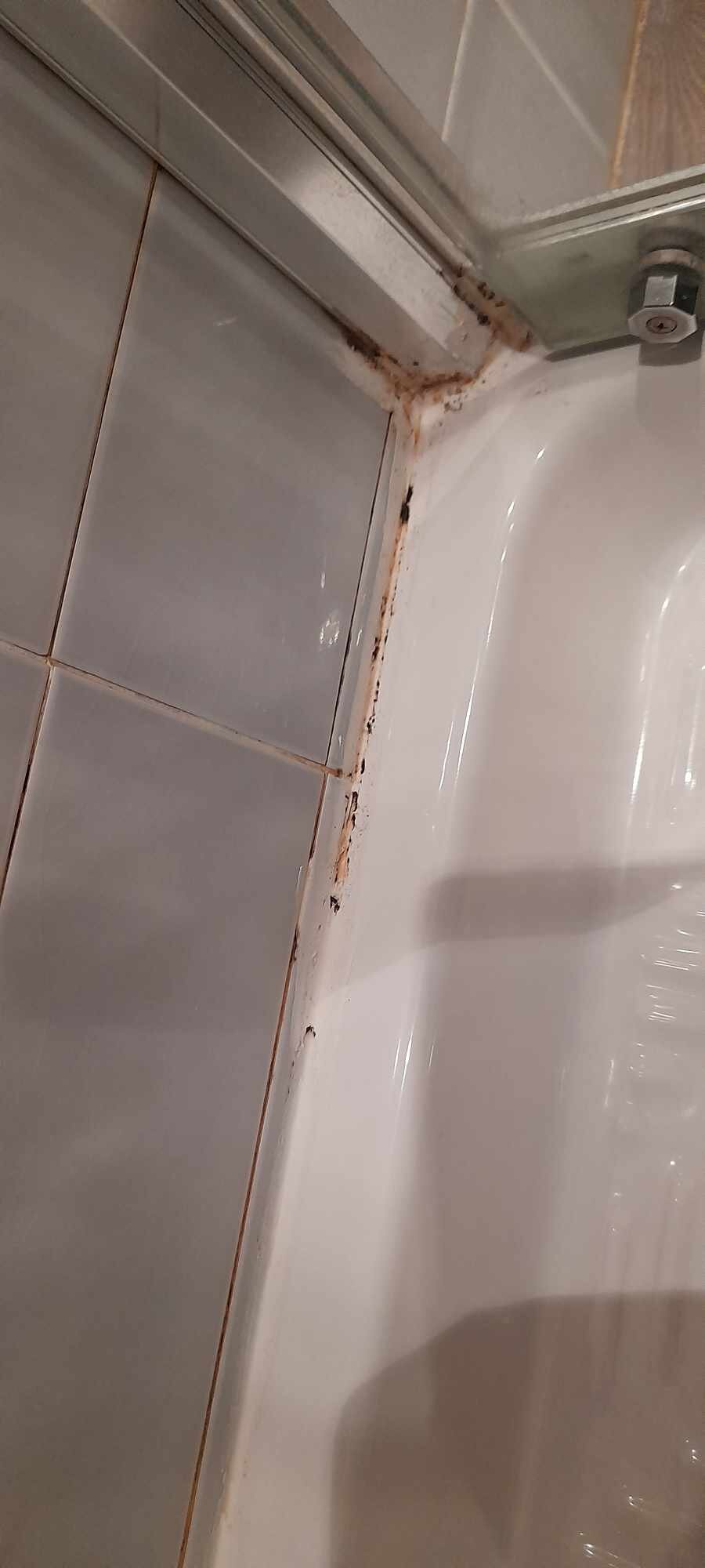 Grand Hotel Forli-浴室