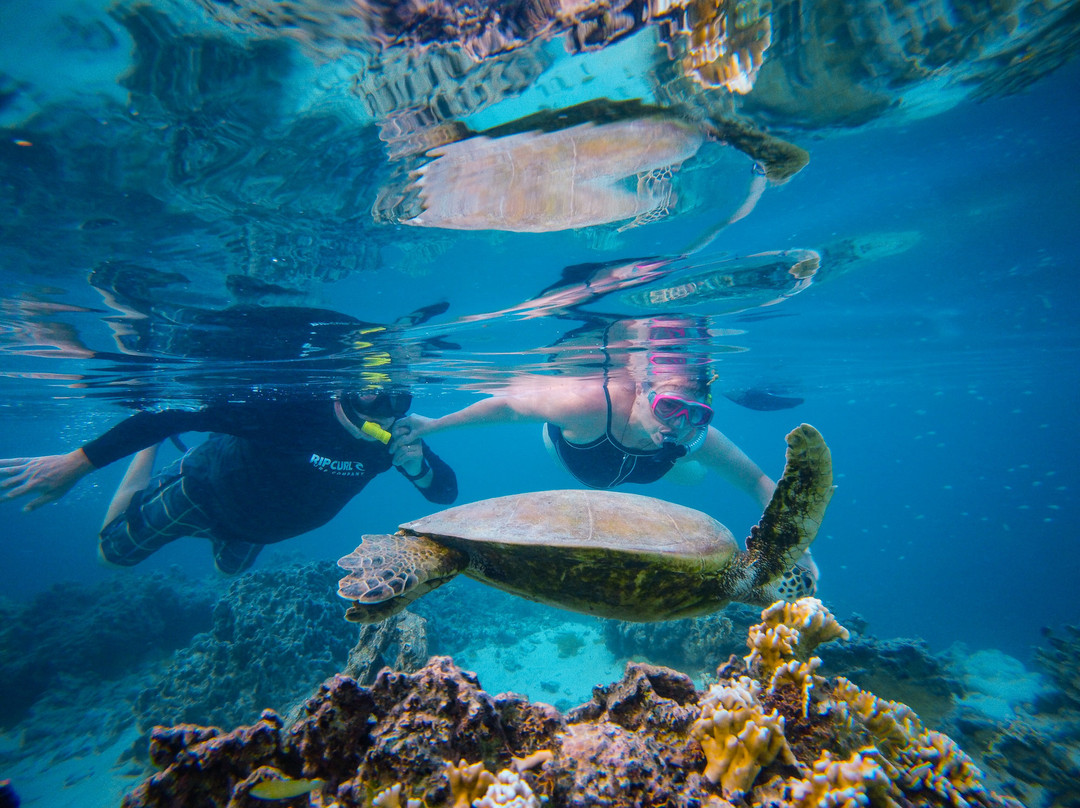 Sea Pace Rarotonga
