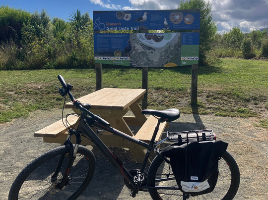 Moana Paddle Nelson-尼尔森必去景点