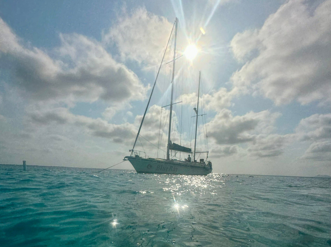 Blue Bay Bonaire-Kralendijk必去景点
