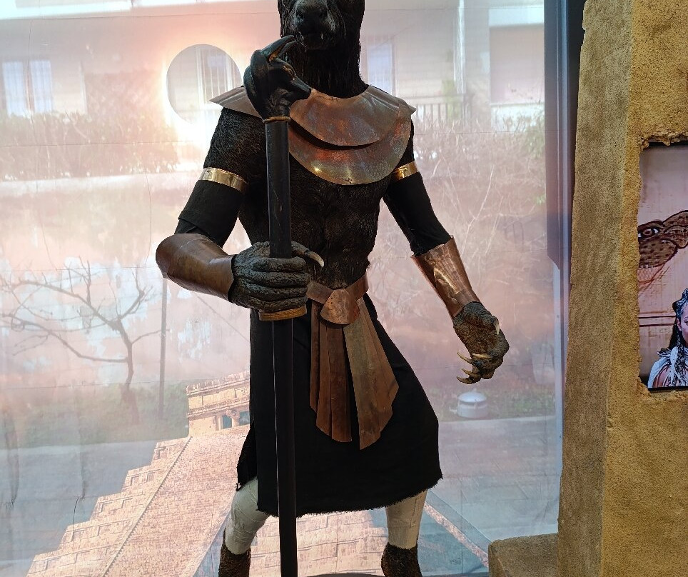 Museo di Storia Naturale del Mediterraneo景点图片