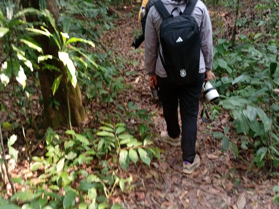 Gabon Adventure Tours-Oyem必去景点