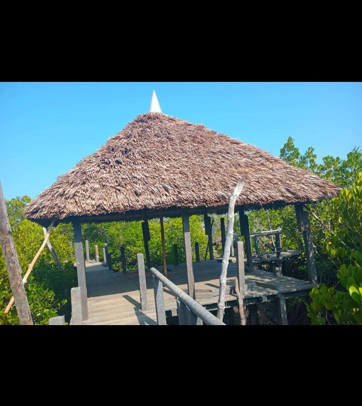 Shimoni Wasini Dolphin Destination-Shimoni必去景点