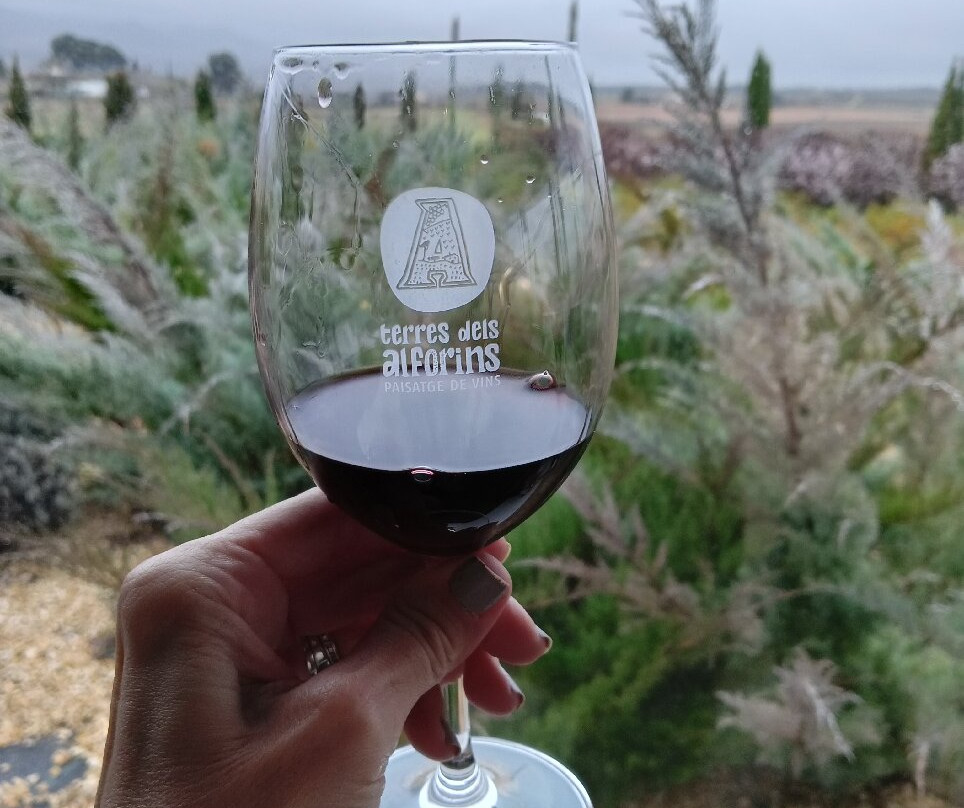 Private Tours Valencia-巴伦西亚必去景点