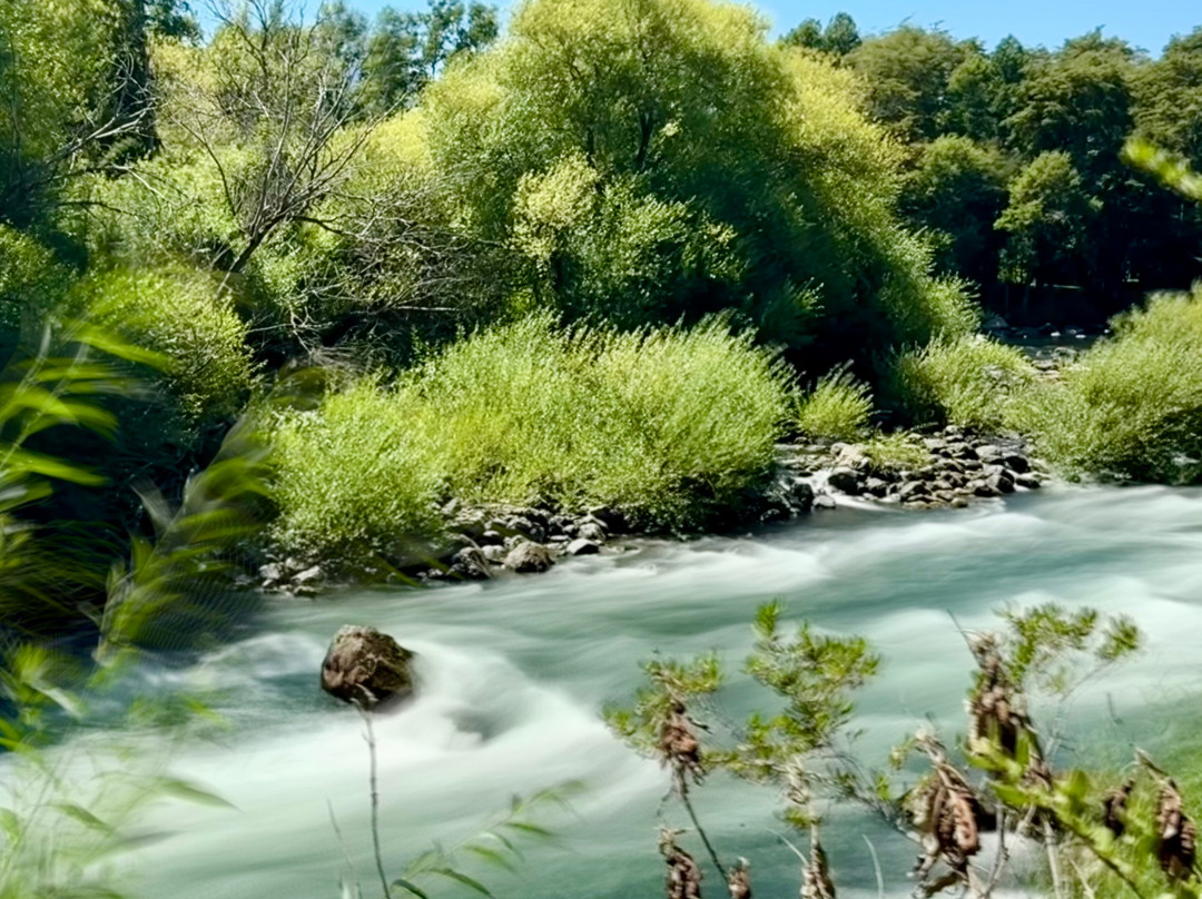 Hotel Posada del Rio - Parque Metrenehue主图