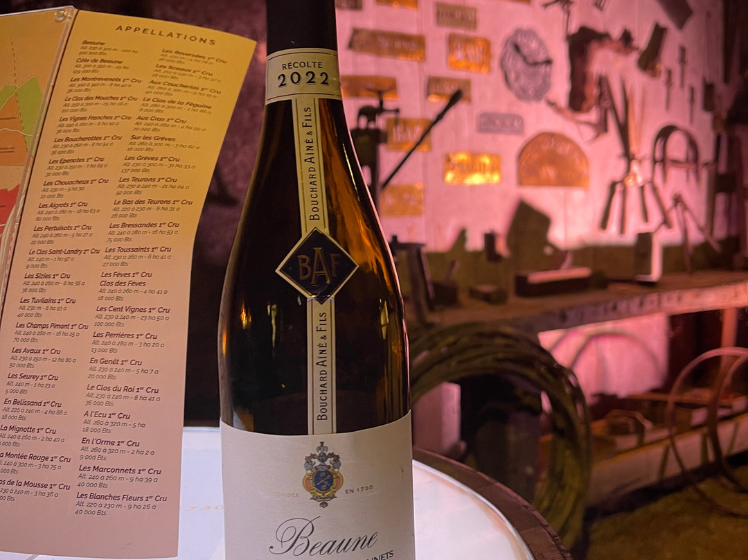 Bouchard Aîné & Fils-博讷必去景点
