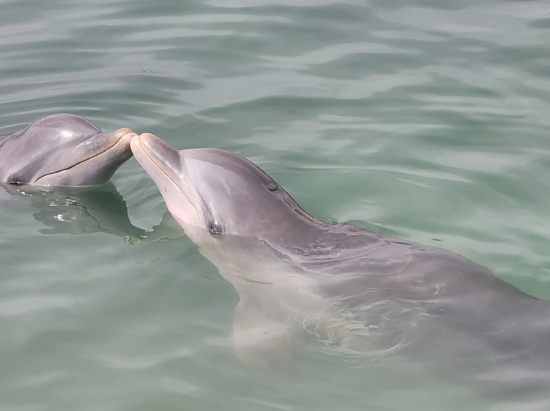 巴伊阿那然朱自然公园-奥尔金必去景点