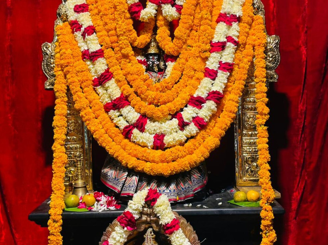 Sri Vijaya Venkateswara Tirupati Balaji Dhaam景点图片