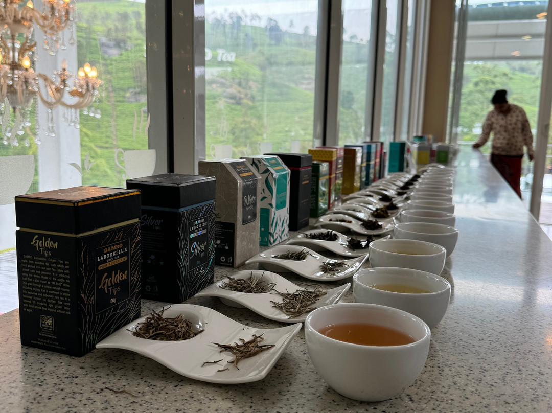 Sri Lanka Holiday Tours-唐卡拉必去景点