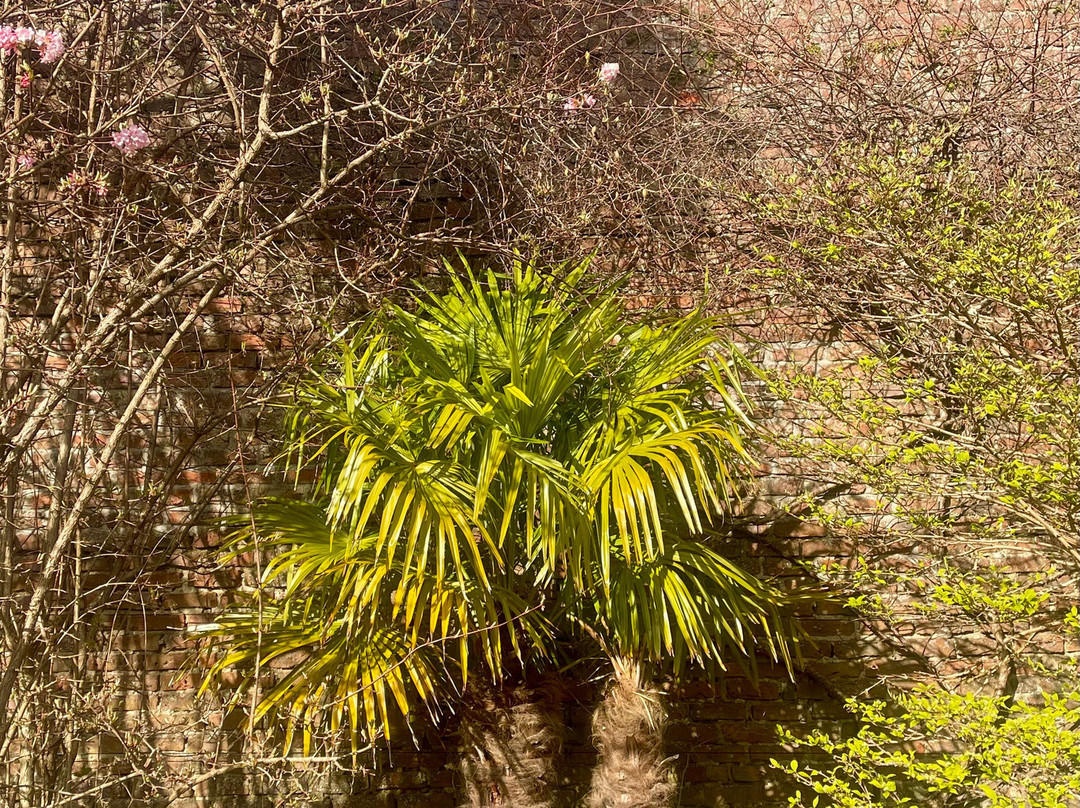 Persley Walled Garden-阿伯丁必去景点