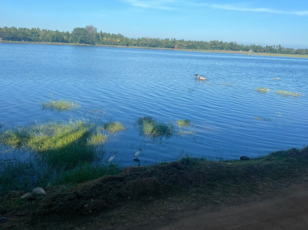 Ceylon Ella Taxi-埃勒必去景点