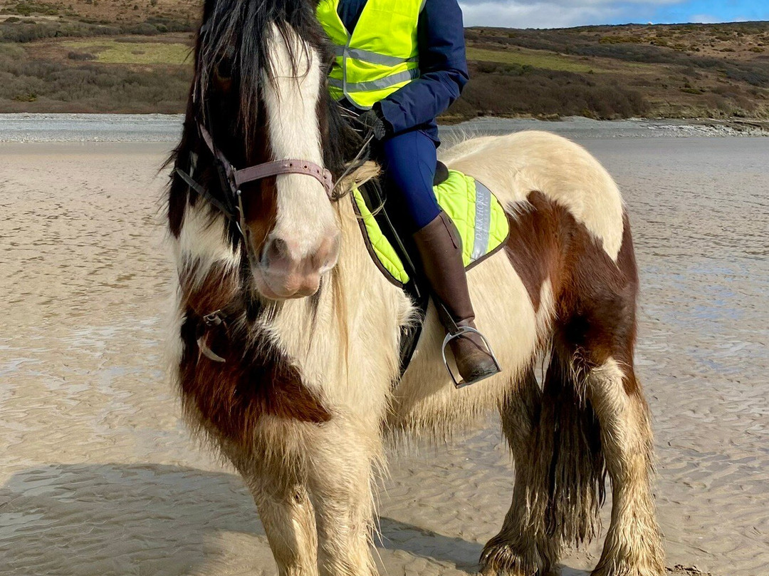 Marros Riding Centre景点图片