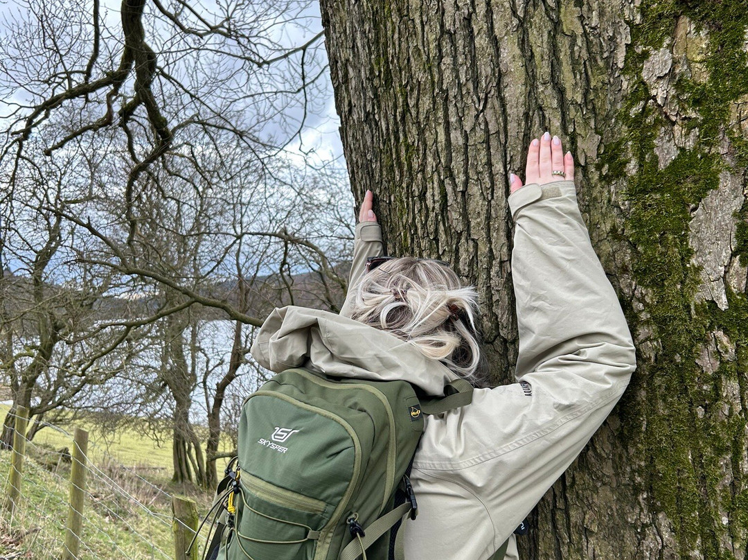 The Wisewood Inn景点图片