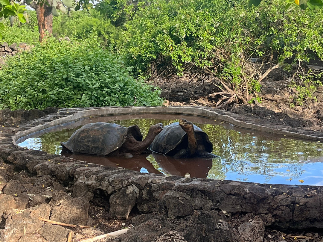 Hotel Galapagos Tortuga Bay主图