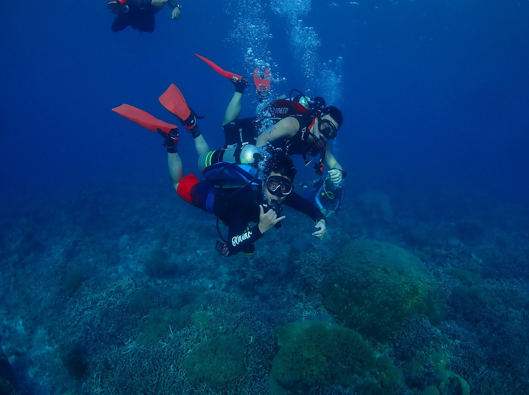 Island Diver - Bantayan Island