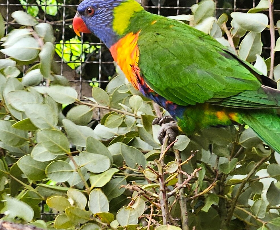 Parque Tricao-Santo Domingo必去景点