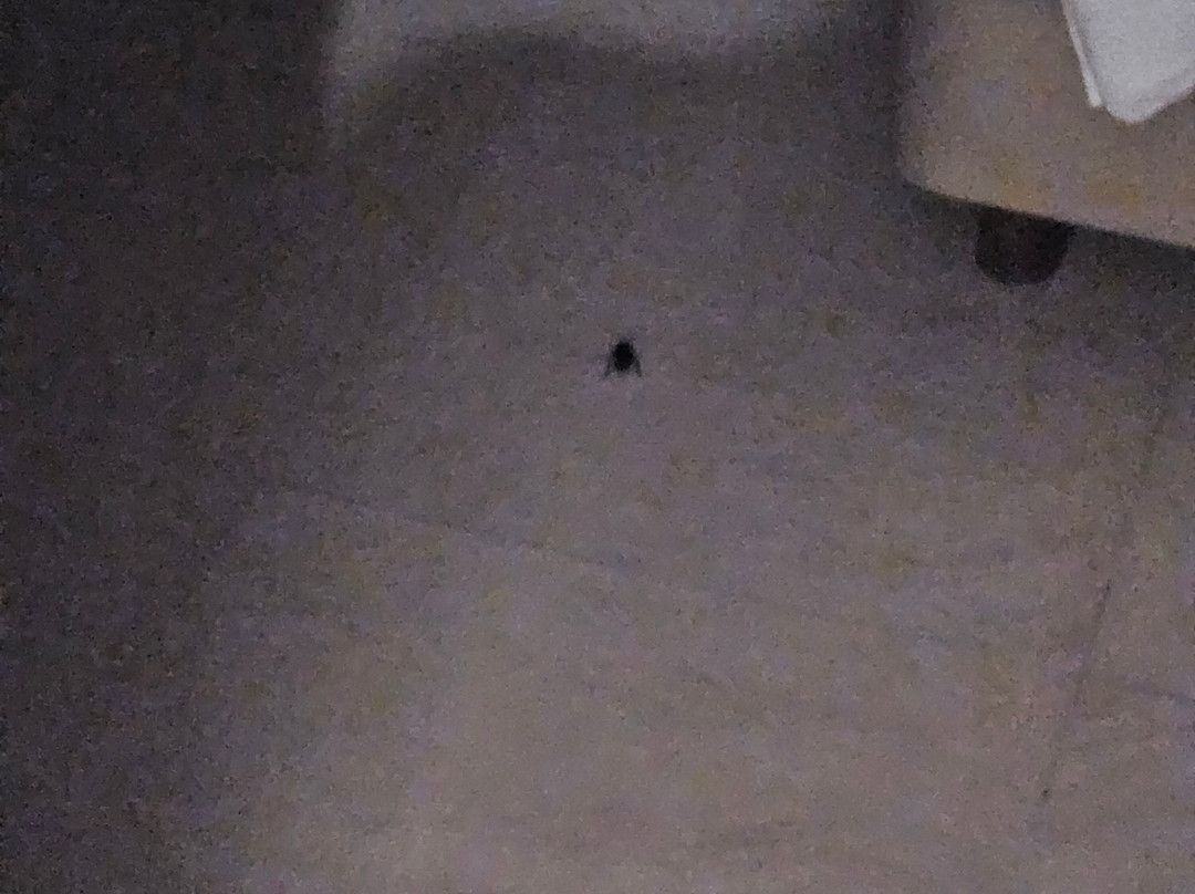 ESTELAR Villavicencio Hotel & Convention Center主图