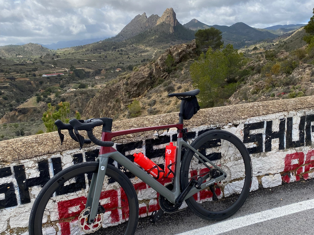 Murcia Bike Hire景点图片