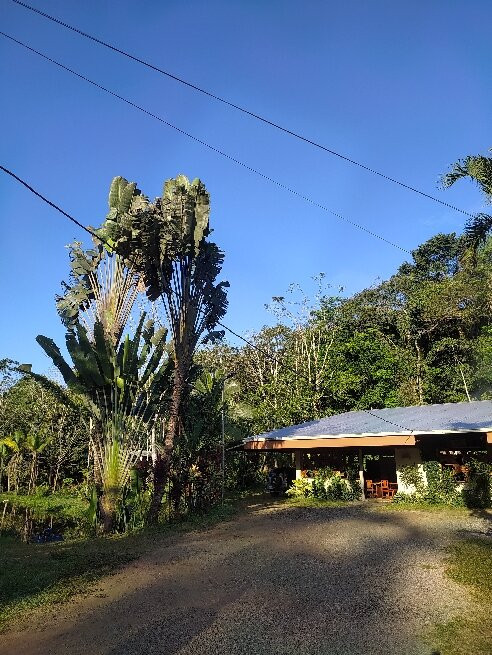 Finca Sura景点图片