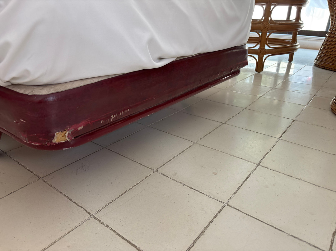 Hotel Tocarema主图