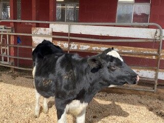 Harris Farm Sugarhouse-Dayton必去景点