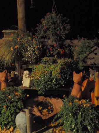 Stella's Mountain Inn主图