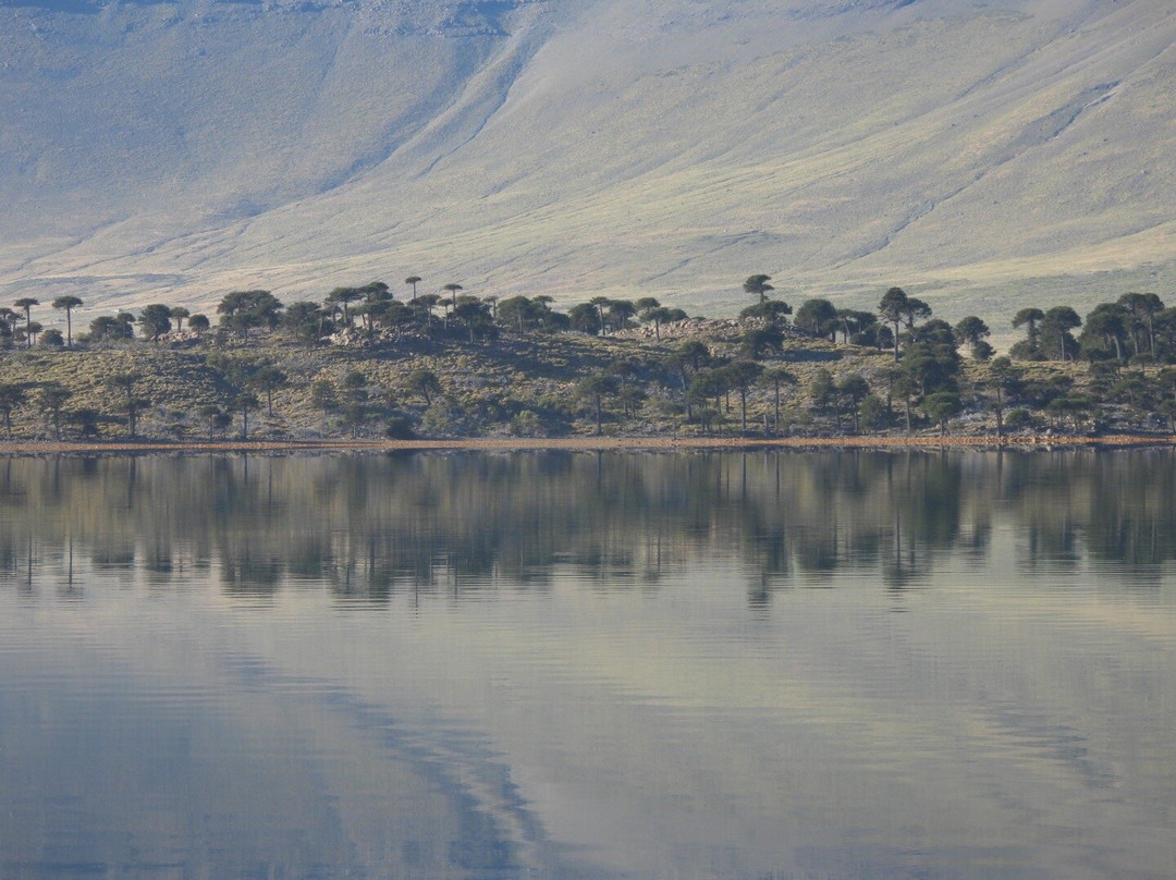 Argentina Photo Workshops景点图片