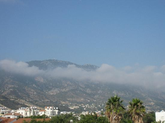 Green Holiday Village主图