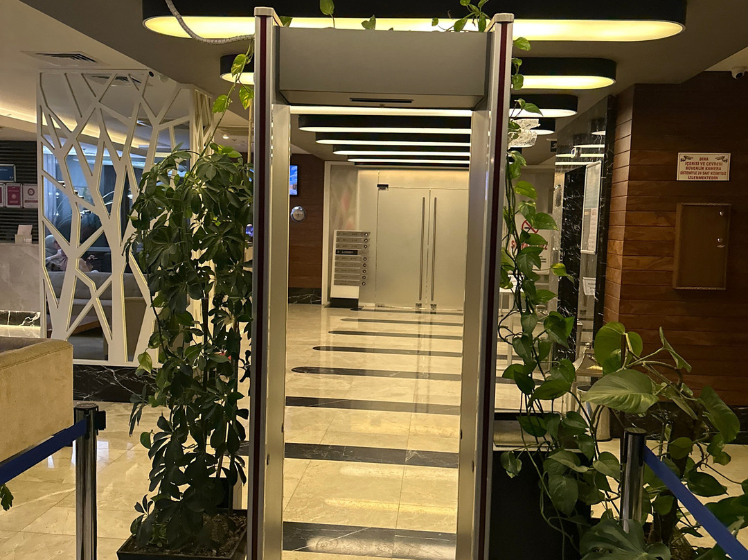 Mimi Hotel Ankara主图