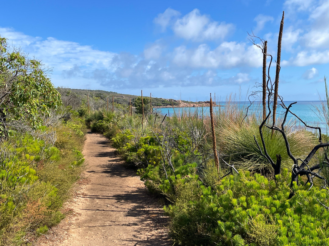 Meelup Reserve Trail景点图片