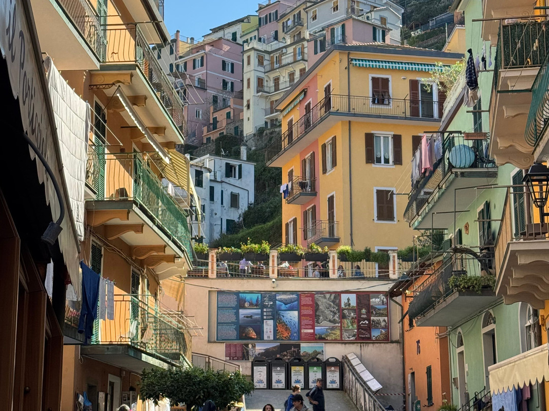 Autoservizi DBTuscany景点图片