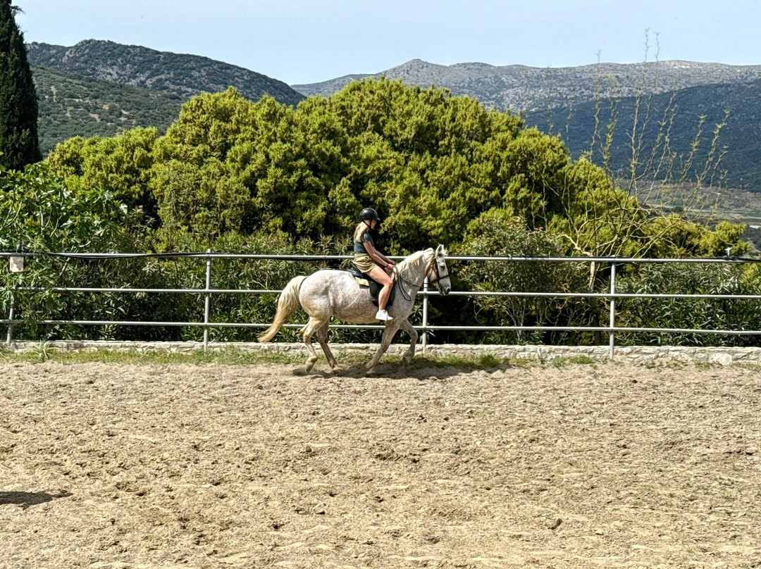 WIldCrete Safari-Limenas Chersonisou必去景点