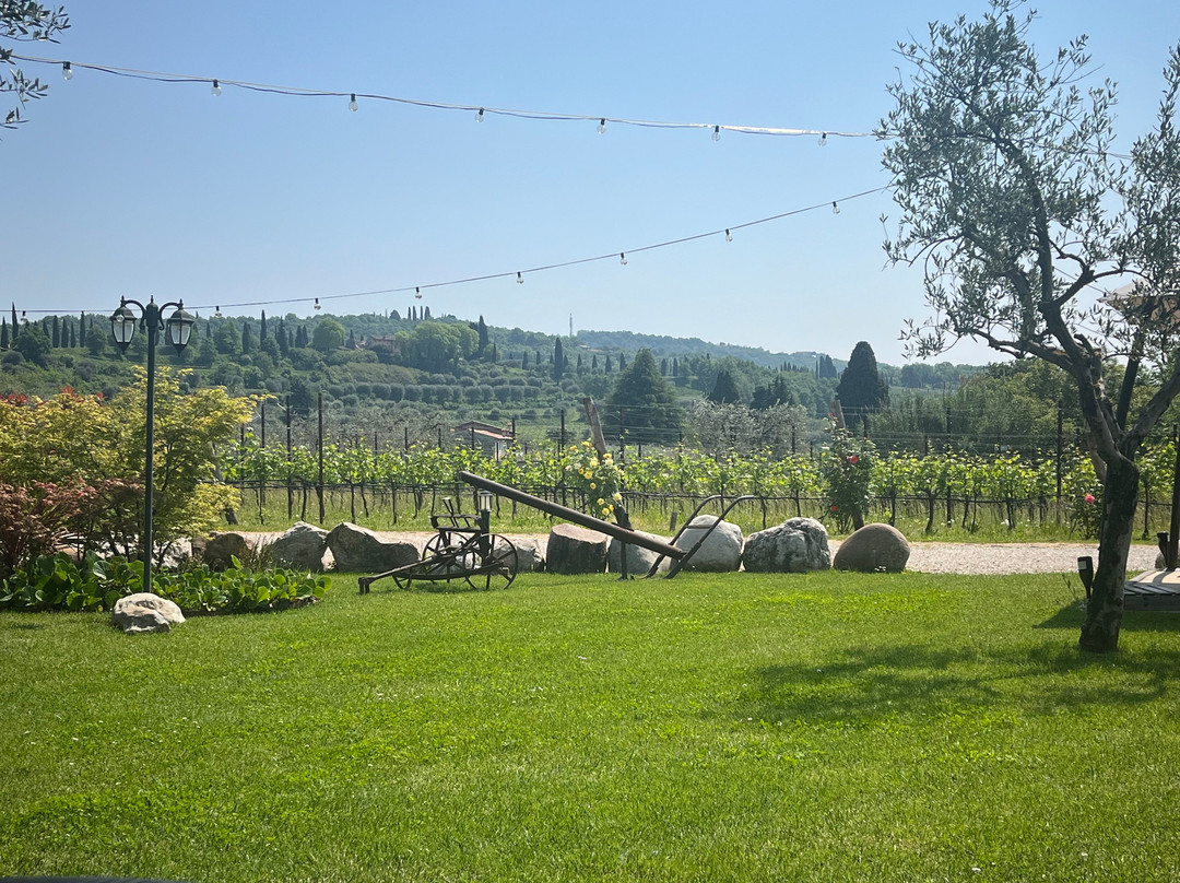 Azienda Agricola Ca' Bottura景点图片