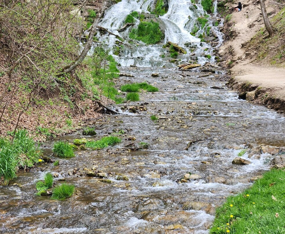 Dunnings Spring Park景点图片