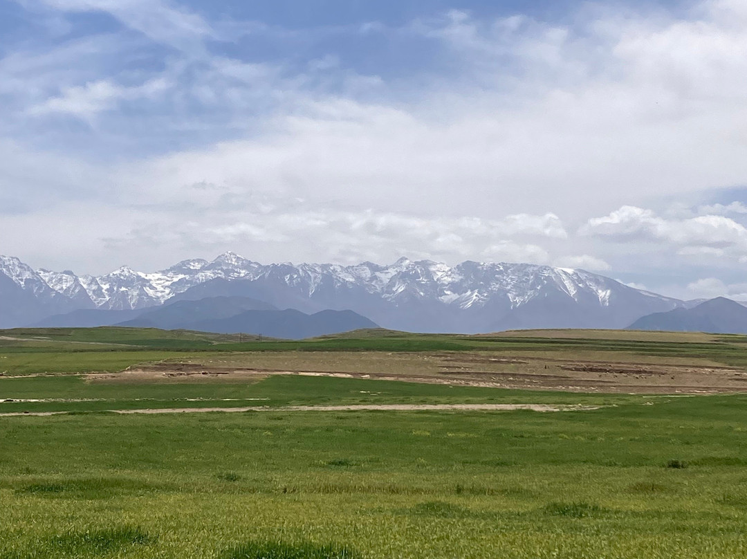 Moroccan Guides Travel景点图片