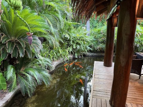 托阔里奇岛度假村-餐饮