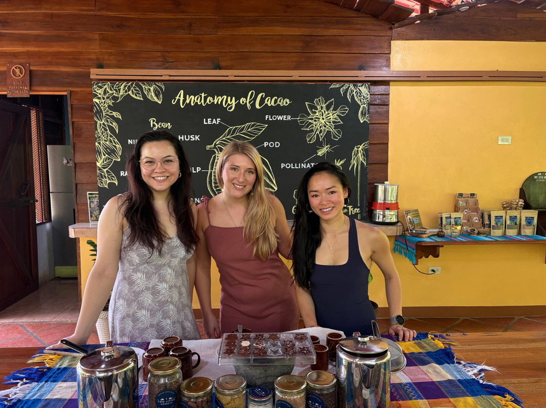 Two Little Monkeys Chocolate Tour-福德圣卡洛斯必去景点