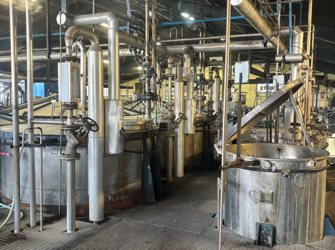 Distillerie de Savanna景点图片