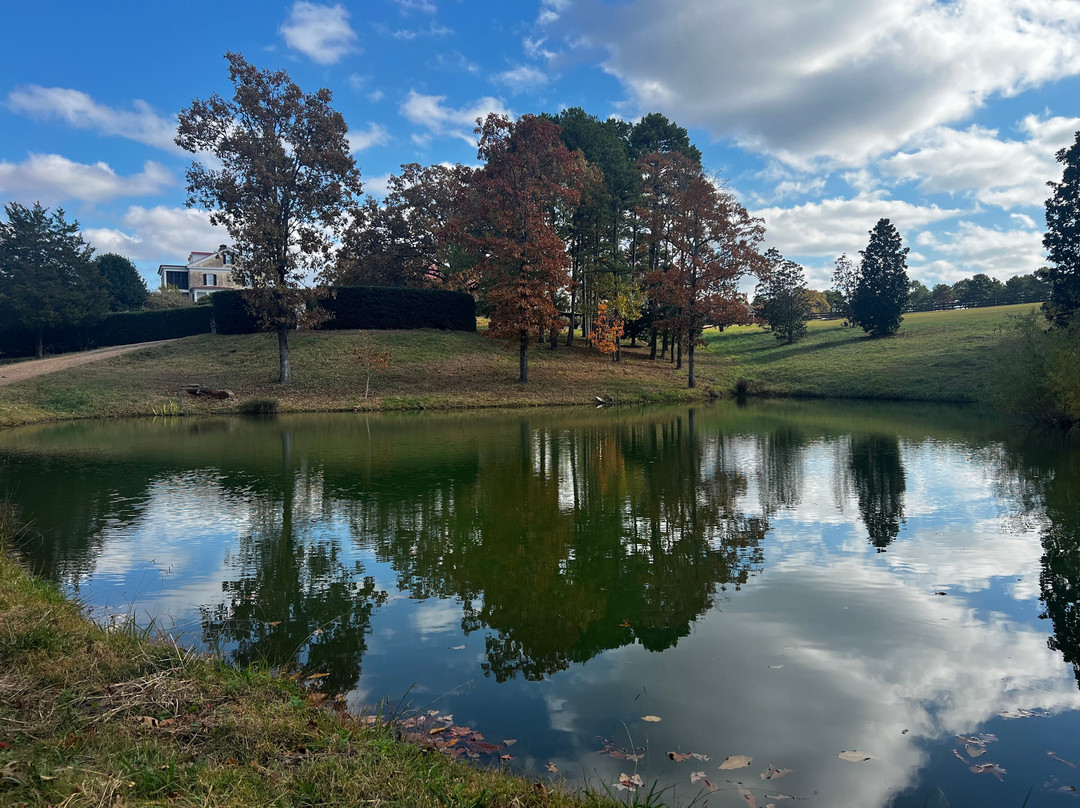 Moss Mountain Farm-Roland必去景点