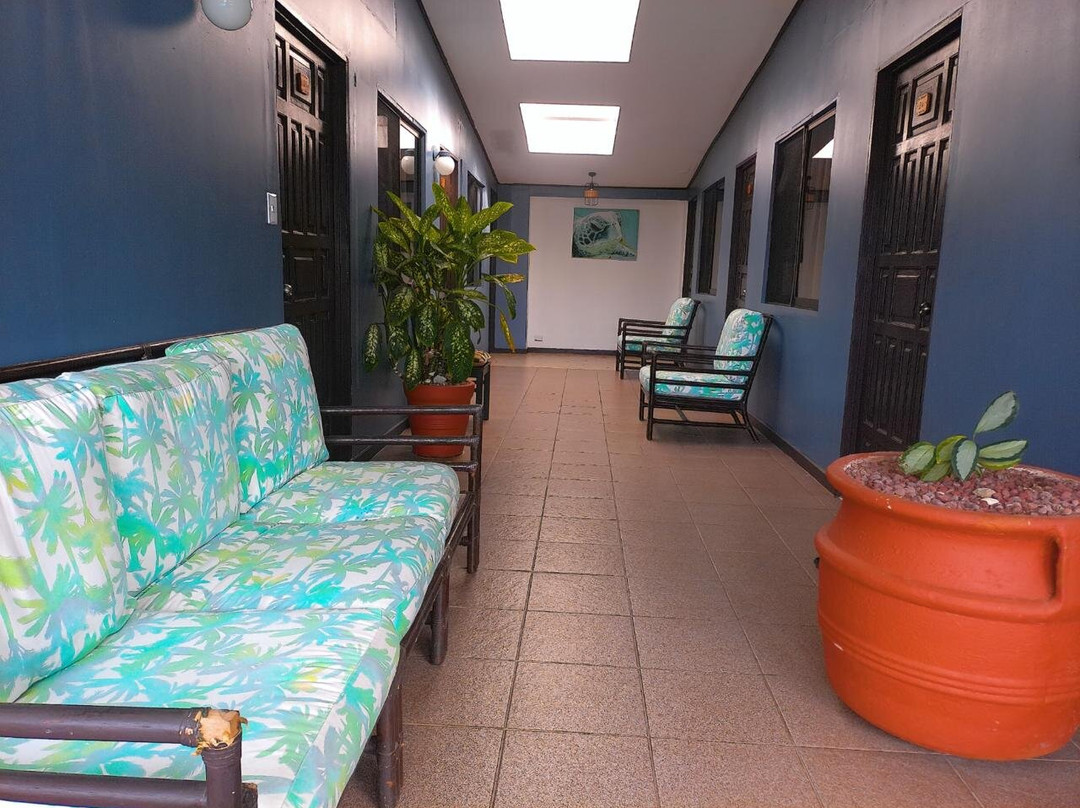 Pueblo Dorado Surf Hotel主图