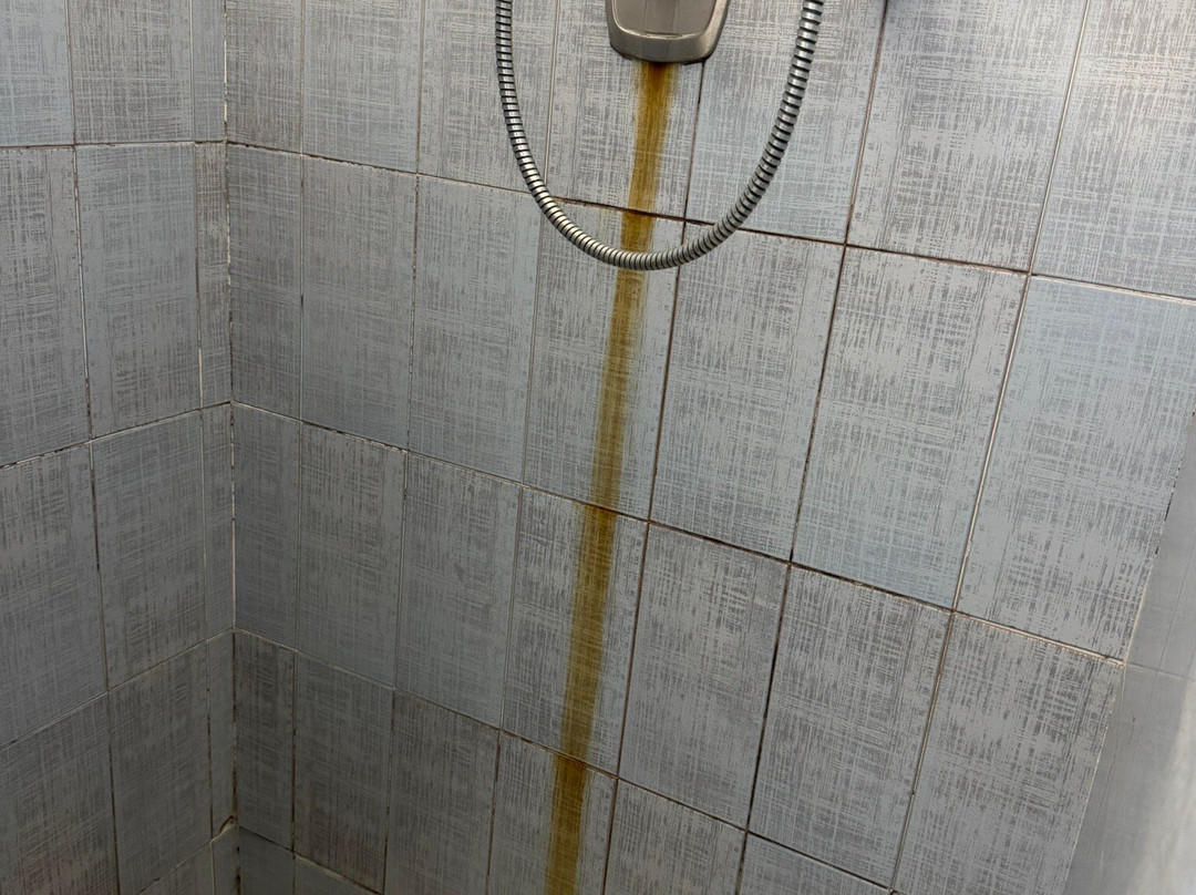 Hotel Tuscolano主图