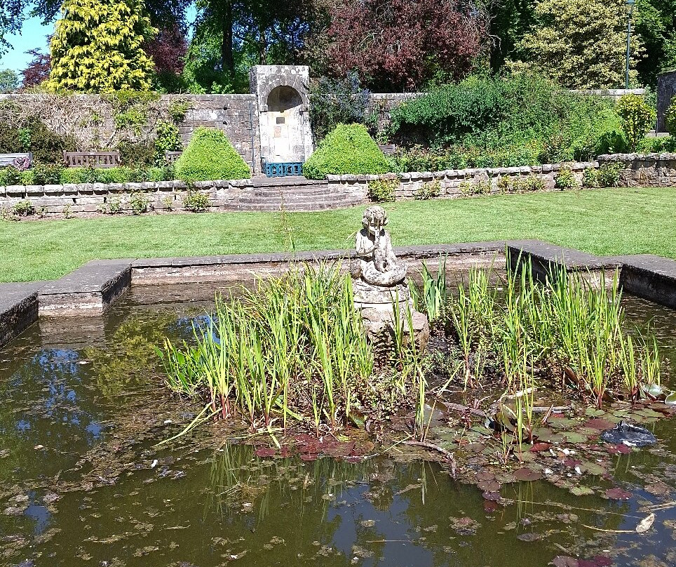 Peacocks in Pittencrieff Park-丹弗姆林必去景点