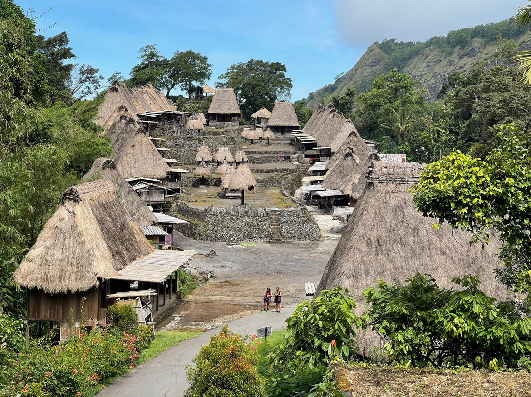 Flores Experience-Labuan Bajo必去景点