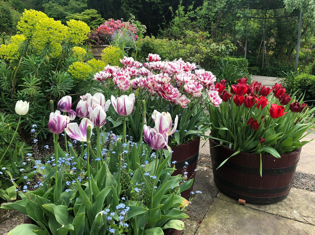 Gresgarth Hall Gardens-Caton必去景点
