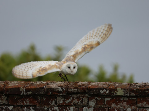 The Hawking Centre-Doddington必去景点