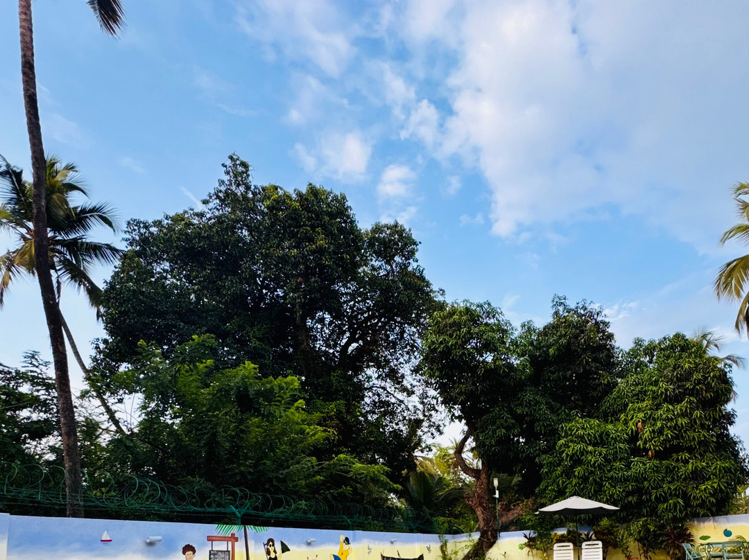 Treehouse Blue Hotel & Villas主图