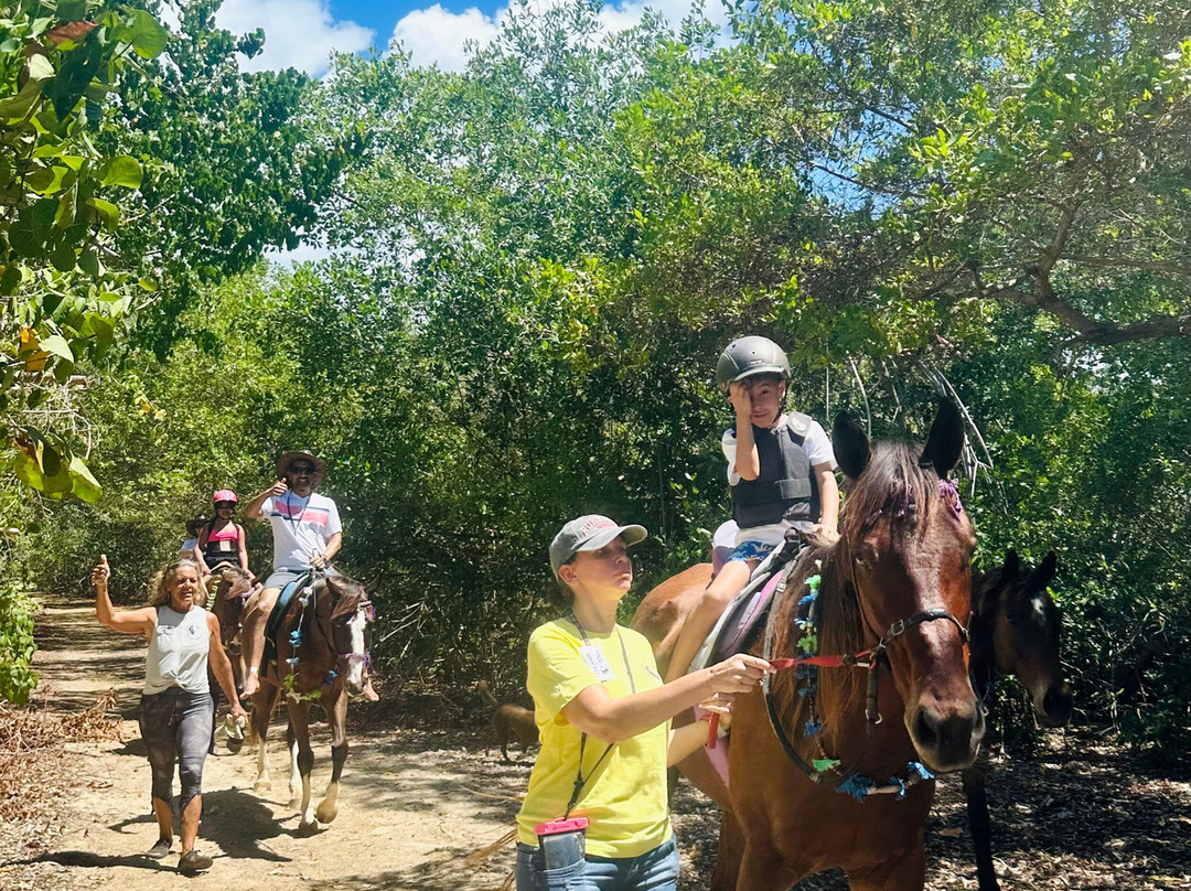 Being with Horses-Buccoo必去景点
