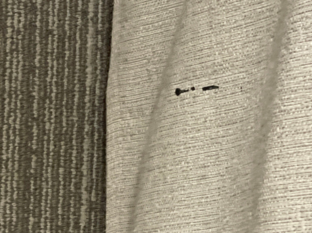 Homewood Suites by Hilton Tyler主图