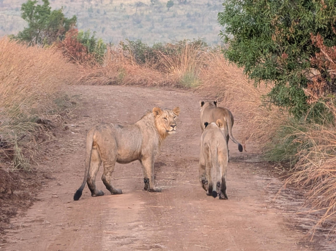 Luhambo Tours-开普敦中心区必去景点